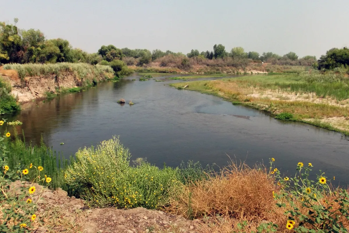 Tuolumne River lined with trees near Modesto, California